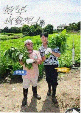 妈妈朋友4 奖项提名